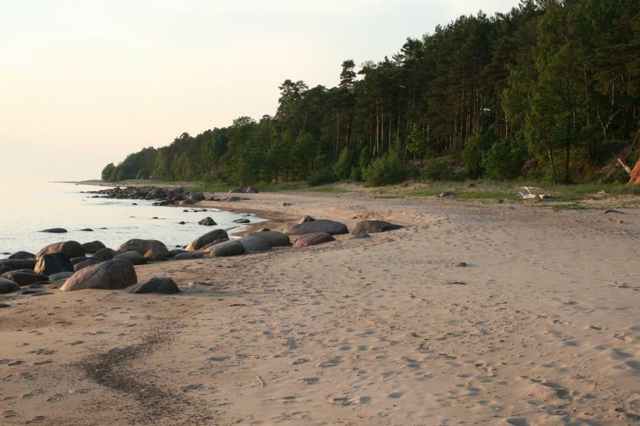 Vila Jaunzemji Dzeņi Exteriér fotografie